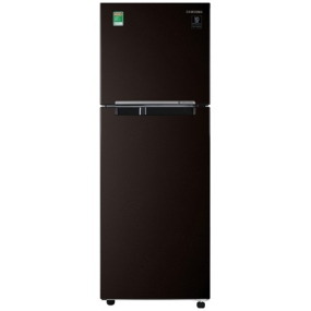 Tủ lạnh Samsung Inverter 236 lít RT22M4032BY/SV